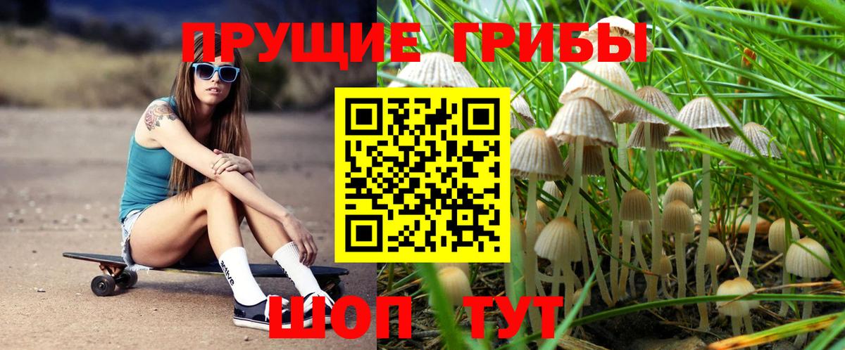 Галлюциногенные грибы Cubensis Сокол